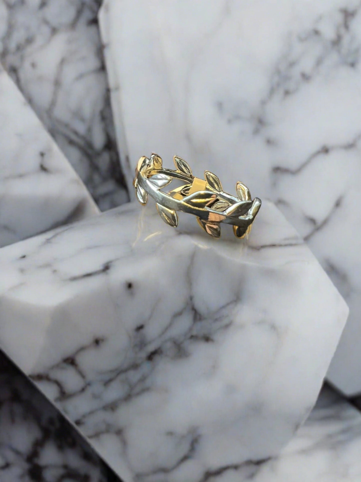 Anillo de vides